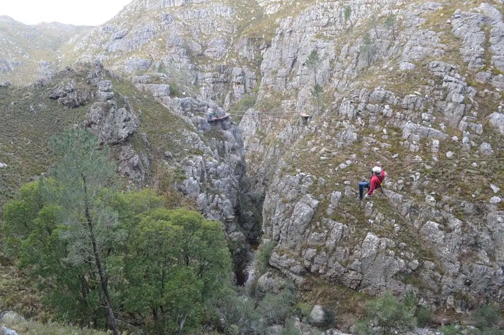 Cape-Canopy-Tour-8-1024×681