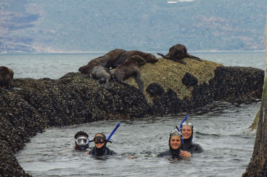 snorklers-with-seals-002 (1)